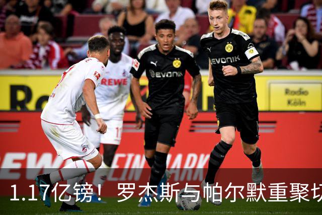 1.17亿镑！罗杰斯与帕尔默重聚切尔西，曾共同为已故队友而战